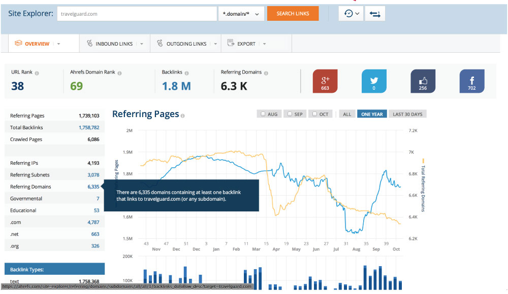 referring domains link reports 